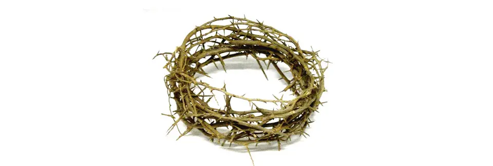 119- A Crown of Thorns