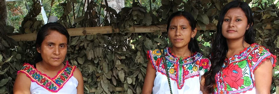 Mujer indígena: Salud y Derechos